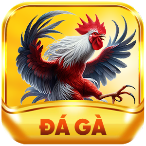 79king đá gà